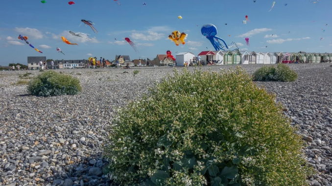 Abwechslung und Abenteuer auf Spiekeroog