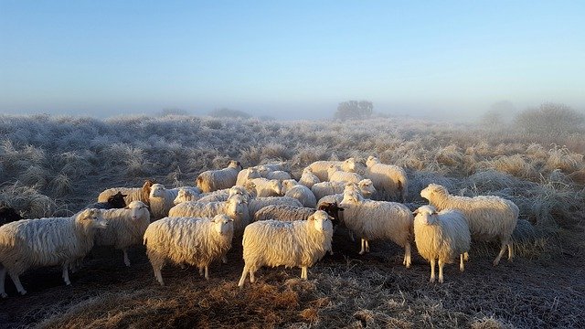 Wetter und Klima auf Borkum im Februar