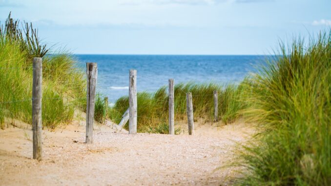 Dünenlandschaft Borkum