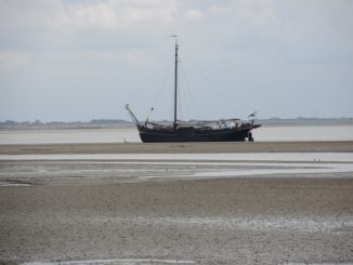 Schöne Tage bei Wind und Wellen - Baltrum