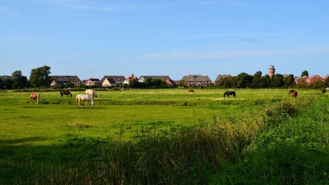 Borkum - für groß und klein