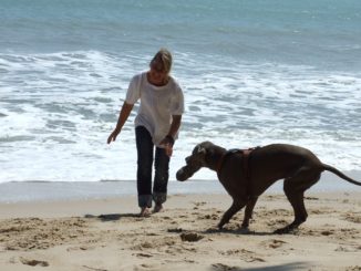 Urlaub mit dem Hund auf Spiekeroog