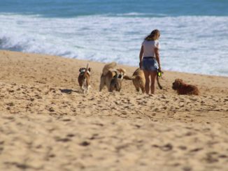 Frau mit Hunden am Strand