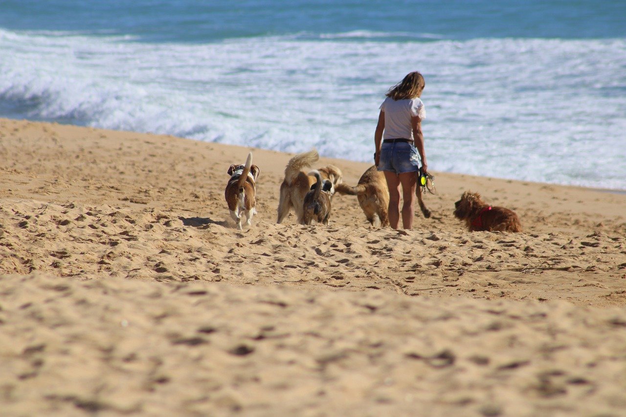 Frau mit Hunden am Strand