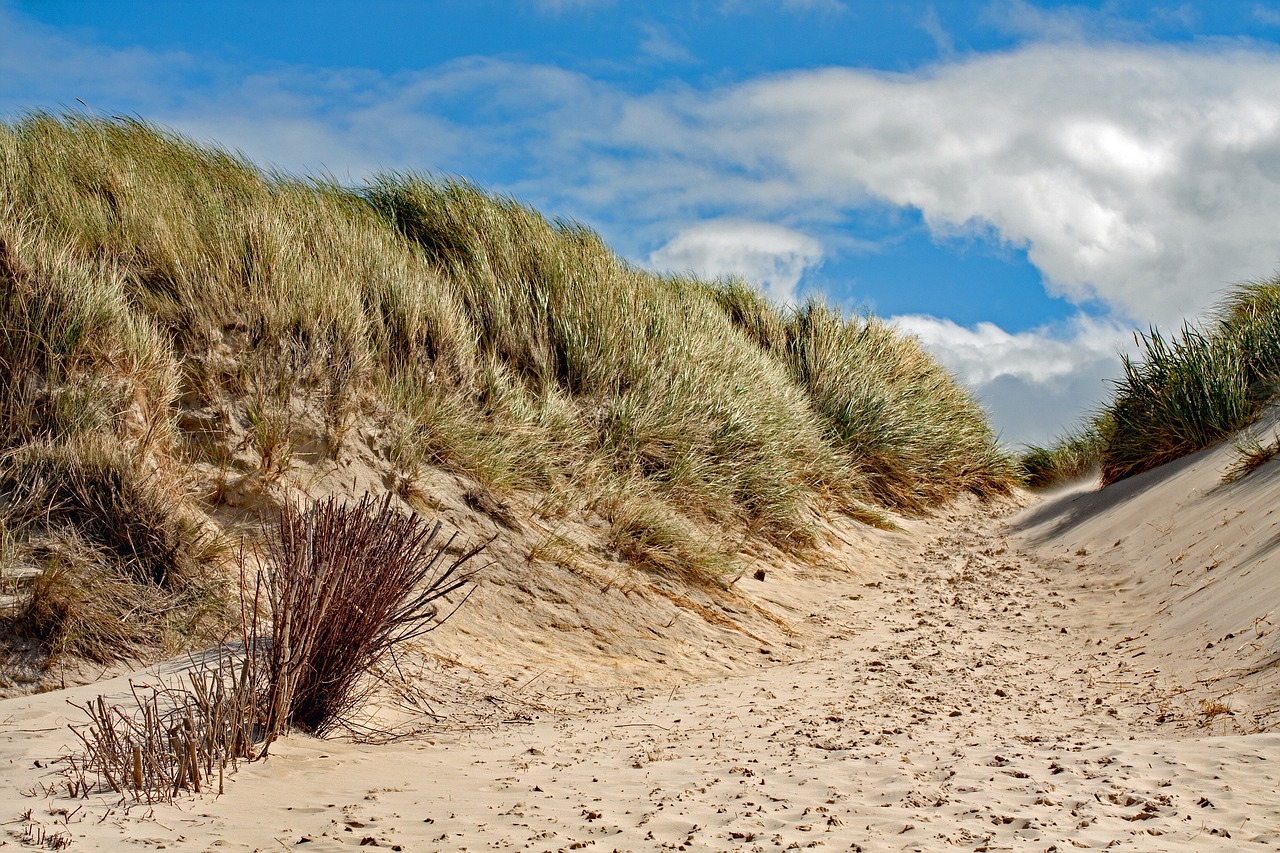 Düne auf Amrum
