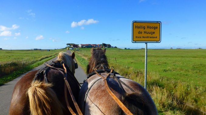 Hallig Hooge