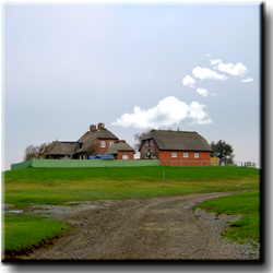Hallig Südfall