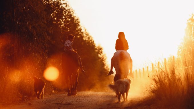 Ausritt mit Hund und Pferd