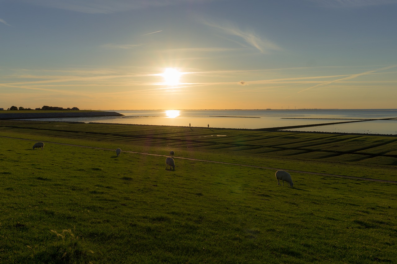 Aktivurlaub auf Nordstrand