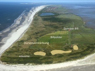 Auf Juist wird in den kommenden Wochen im Sinne des Prinzips building with nature Sand eingebaut. Um die Sturmflutsicherheit für den Billpolder nachhaltig zu gewährleisten, soll dabei die Dünenkette westlich des Polders verstärkt werden.