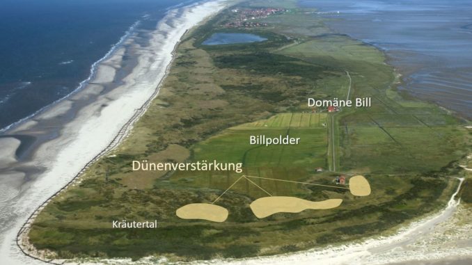 Auf Juist wird in den kommenden Wochen im Sinne des Prinzips building with nature Sand eingebaut. Um die Sturmflutsicherheit für den Billpolder nachhaltig zu gewährleisten, soll dabei die Dünenkette westlich des Polders verstärkt werden.