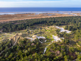 Die Strand- und Dünenlebensräume zeigen eine große Lebensraumvielfalt und unterliegen in großen Teilen noch der natürlichen Küstendynamik. (Foto: Martin Stock/WWF)