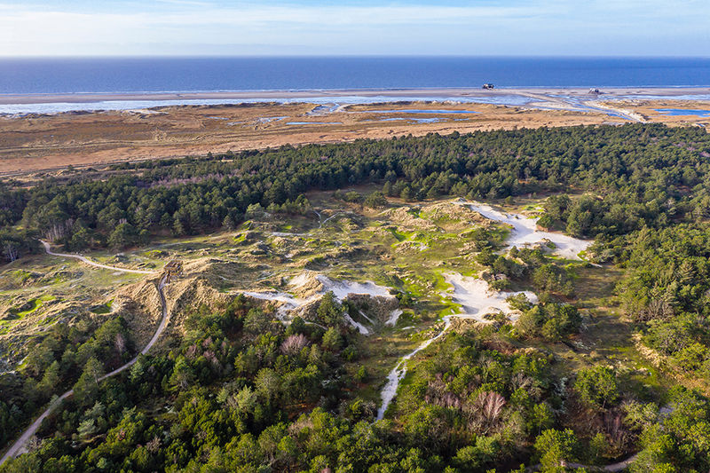 Die Strand- und Dünenlebensräume zeigen eine große Lebensraumvielfalt und unterliegen in großen Teilen noch der natürlichen Küstendynamik. (Foto: Martin Stock/WWF)