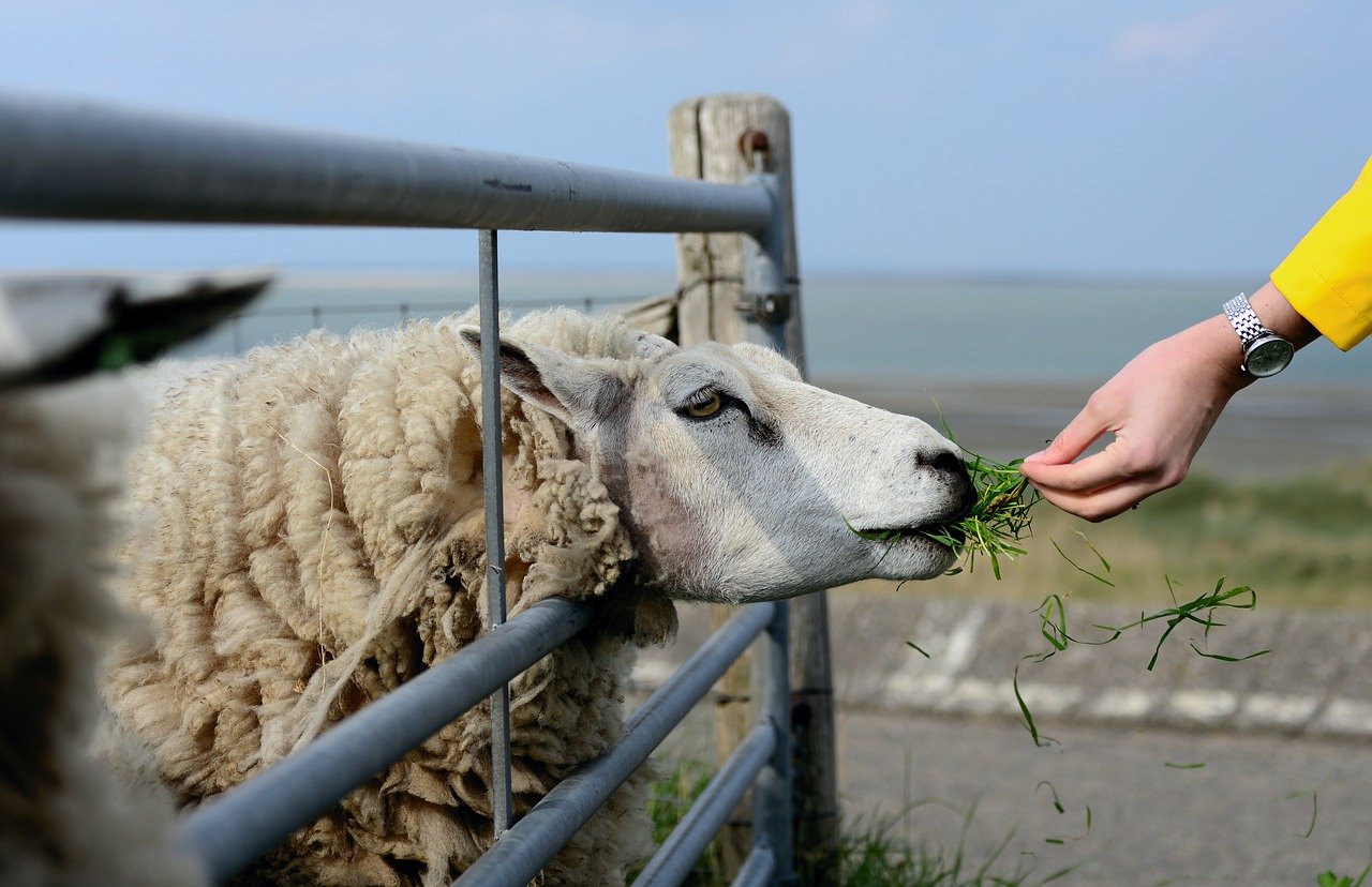 Niederländische Nordseeinseln - Holland Inseln Nordsee