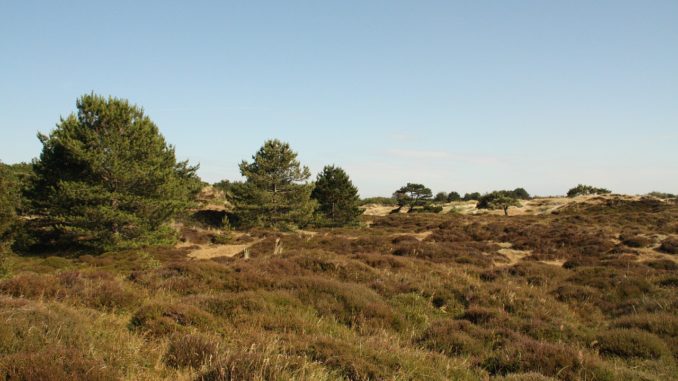 Vlieland