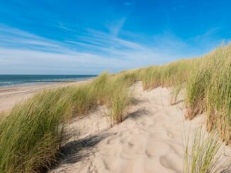 Tolle Freizeitaktivitäten auf den Nordseeinseln und an der Nordsee