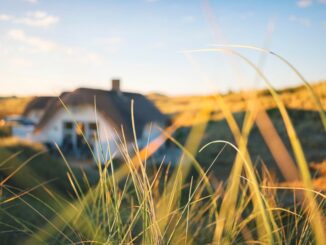 Ferienhaus in Dänemark: Natur, Kultur und Sport im Urlaub