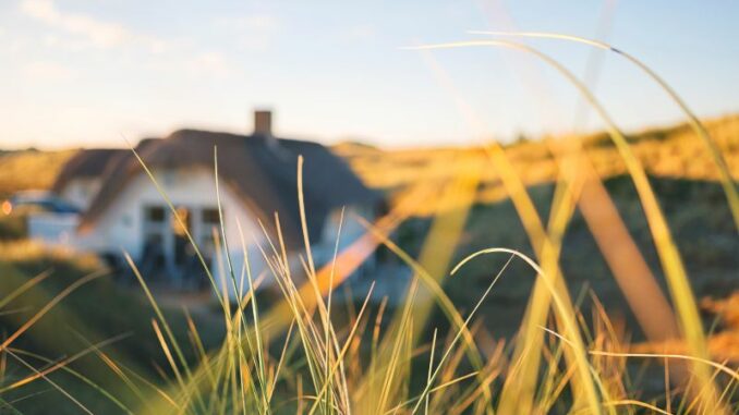 Ferienhaus in Dänemark: Natur, Kultur und Sport im Urlaub