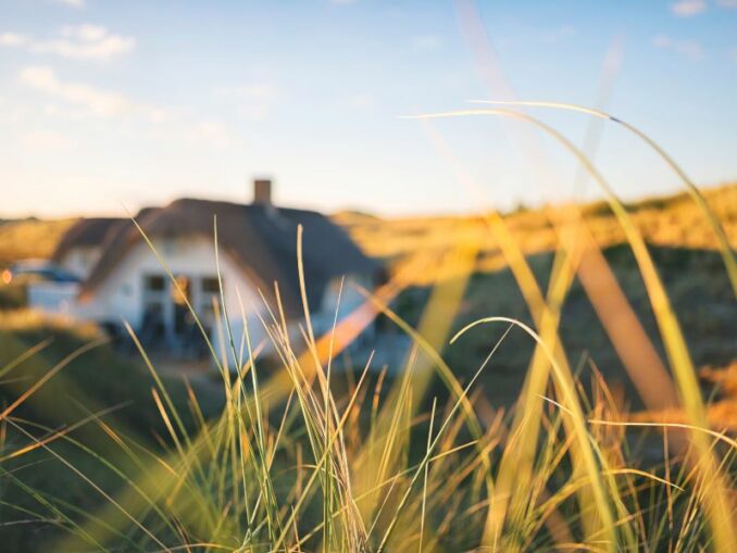Ferienhaus in Dänemark: Natur, Kultur und Sport im Urlaub