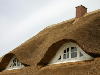 Reetdächer auf den Nordseeinseln - traditionell und langlebig