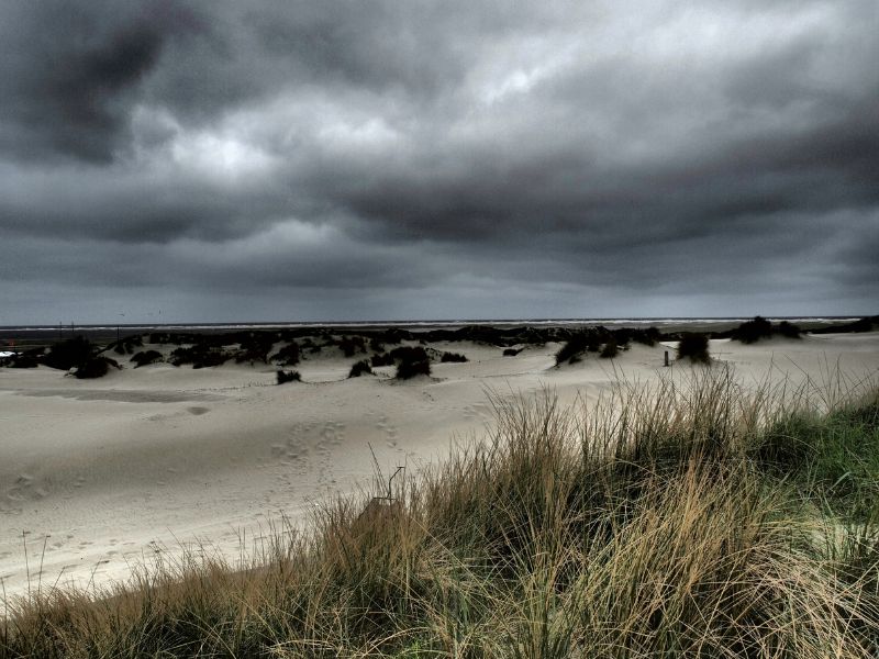 Plötzliche Neugenehmigung von Gasbohrungen vor Borkum