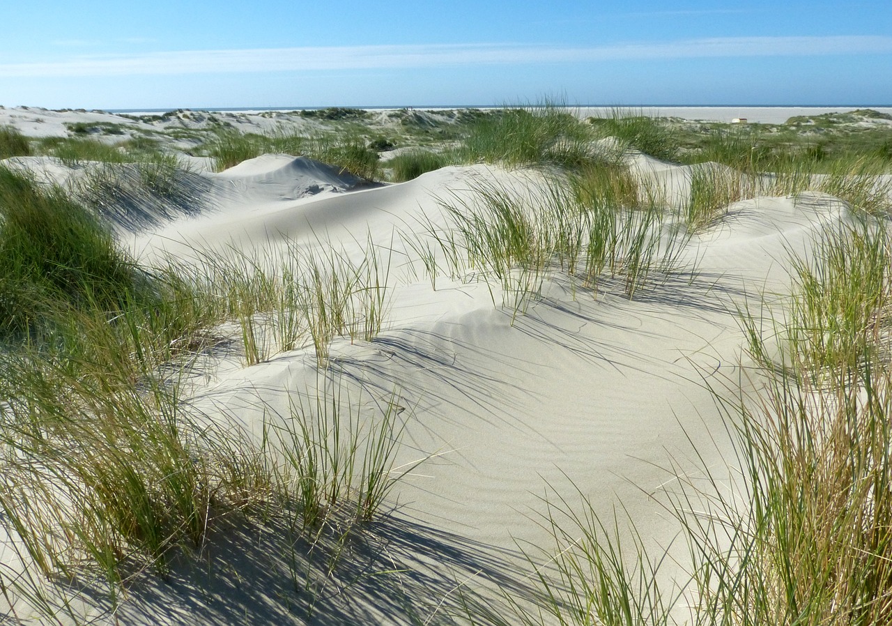 Klage gegen Gasbohrung vor Borkum eingereicht