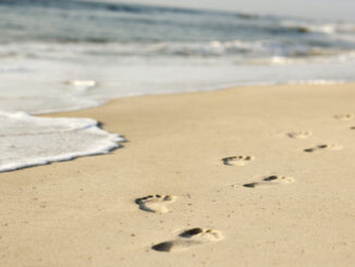 Aktiver Nordseeurlaub: Von Wattwanderung bis Fahrradtour – wie man die richtigen Schuhe auswählt